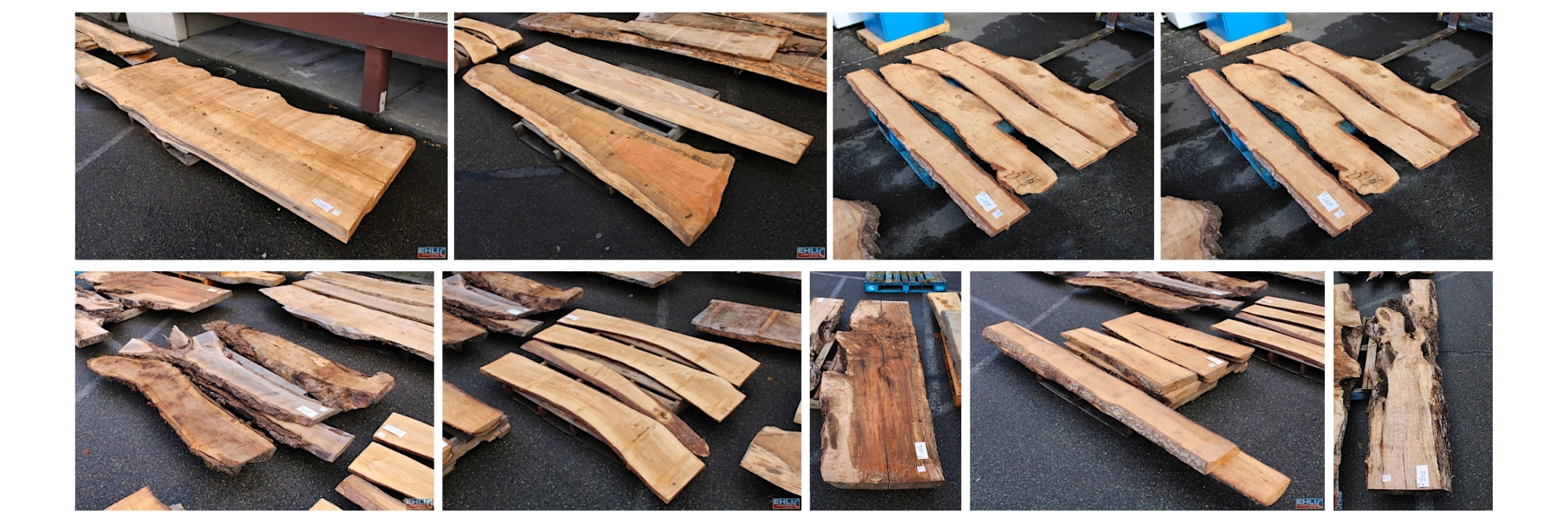 Cedar Live Edge