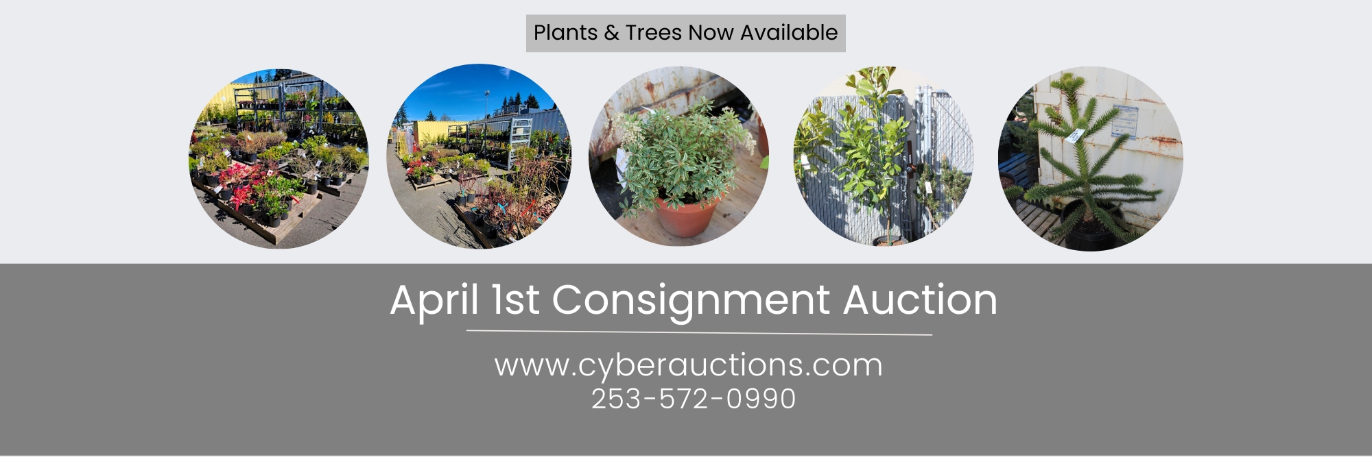 Plants and Trees