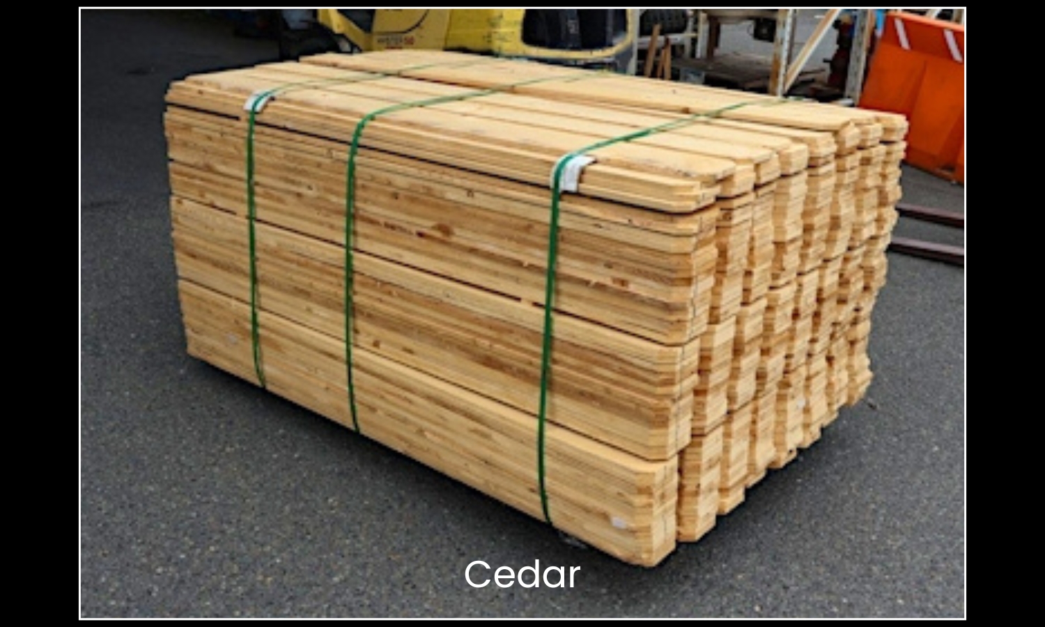Cedar