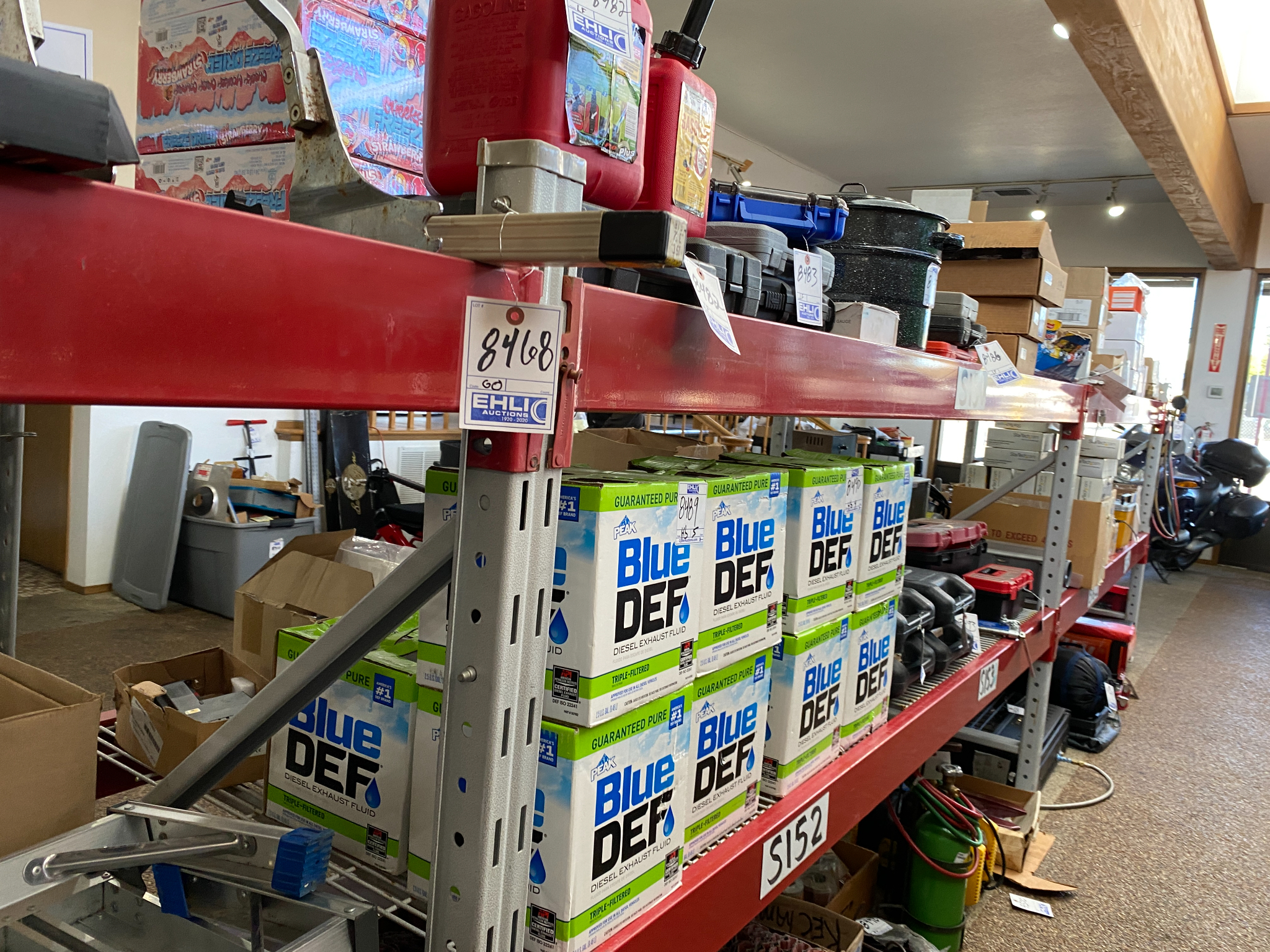 IMG 3301